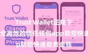 Trust Wallet正规下载地址 安全高效的信任钱包app助您快速贬责金钱